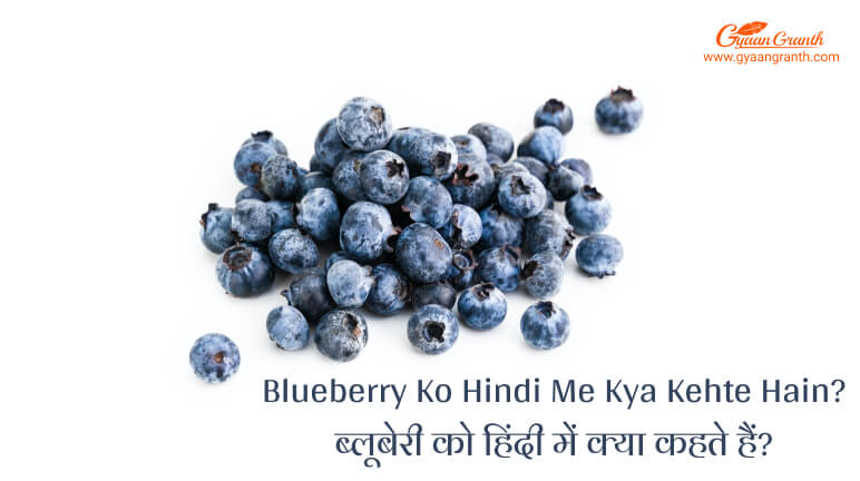 Blueberry Ko Hindi Me Kya Kehte Hain