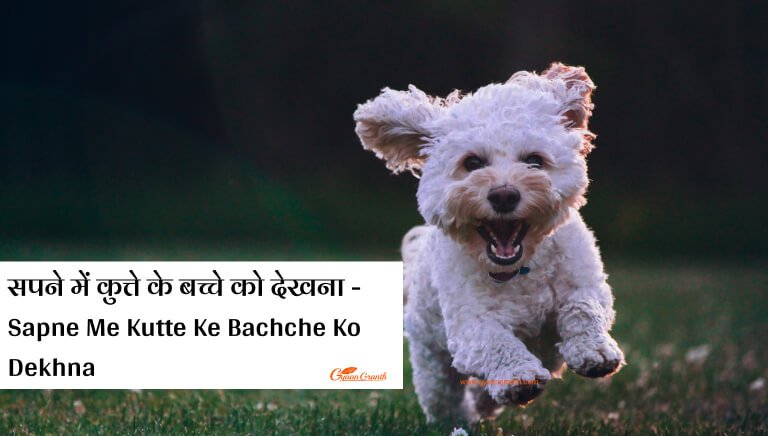 Sapne Me Kutte Ke Bachche Ko Dekhna