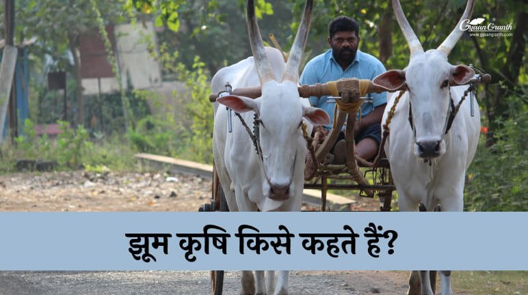 झूम कृषि किसे कहते हैं?