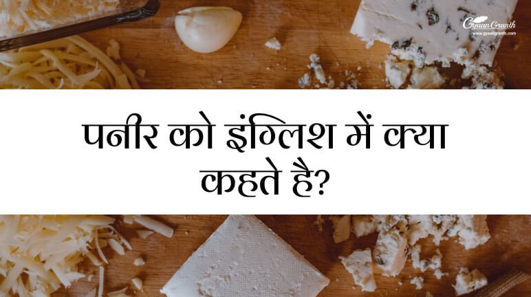 Paneer Ko English Mein Kya Kahate Hain