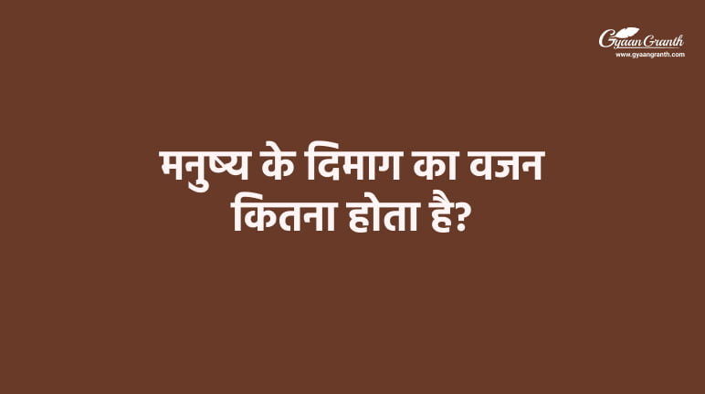 मनुष्य के दिमाग का वजन कितना होता है?