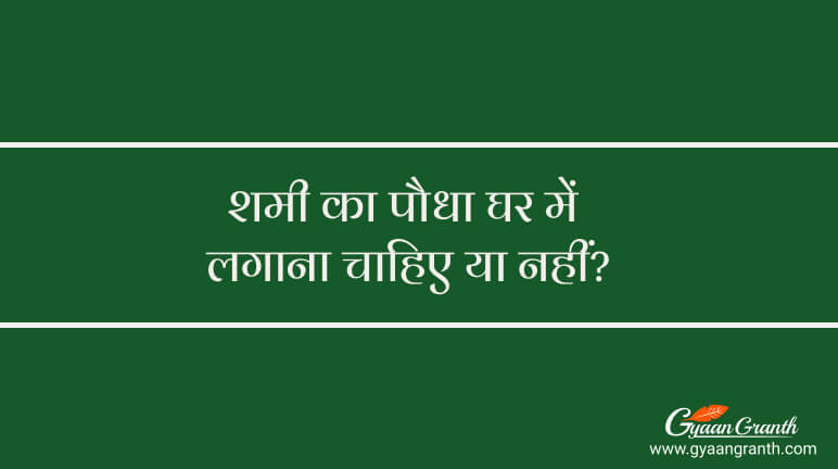 शमी का पौधा घर में लगाना चाहिए या नहीं