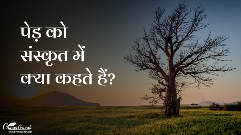 पेड़ को संस्कृत में क्या कहते हैं