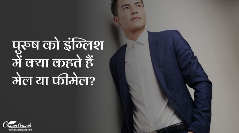 पुरुष को इंग्लिश में क्या कहते हैं मेल या फीमेल?