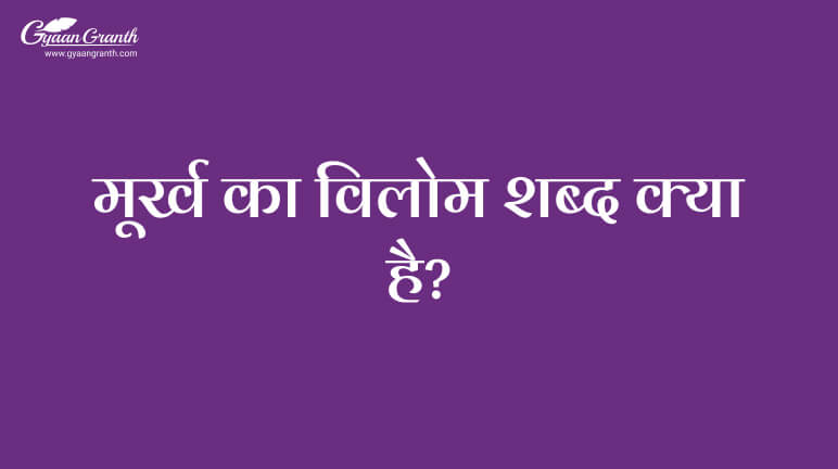 मूर्ख का विलोम शब्द क्या है?