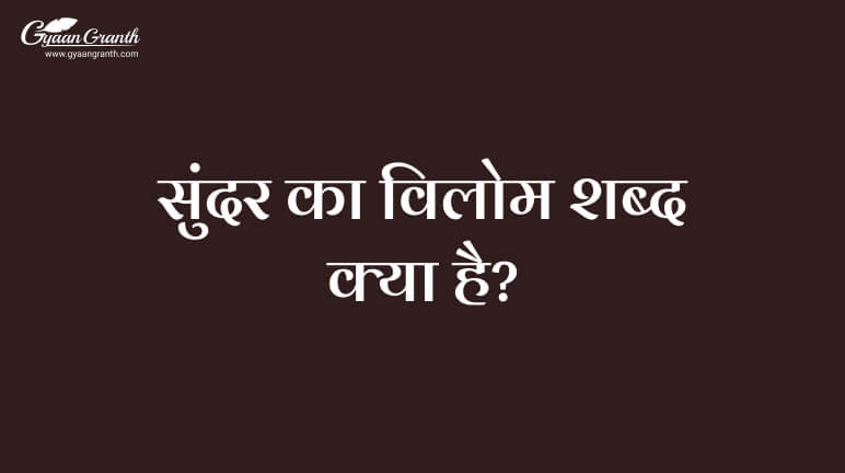 सुंदर का विलोम शब्द क्या है?