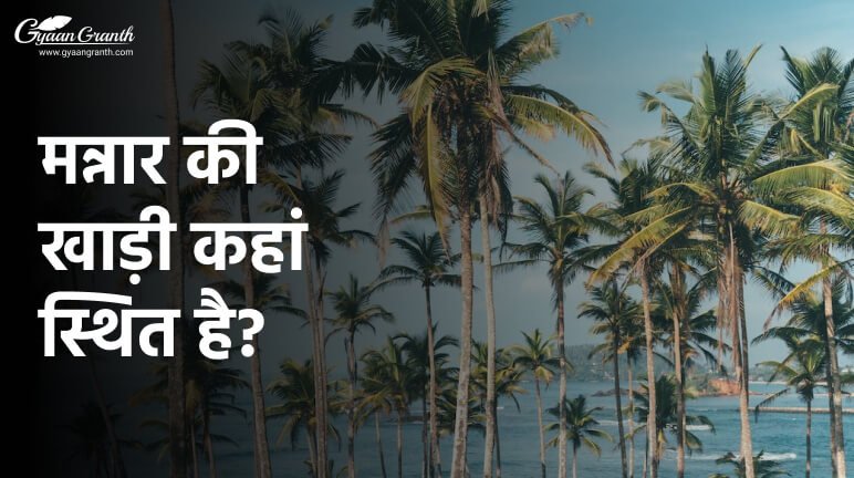 मन्नार की खाड़ी कहां स्थित है?