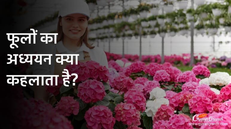 फूलों का अध्ययन क्या कहलाता है?