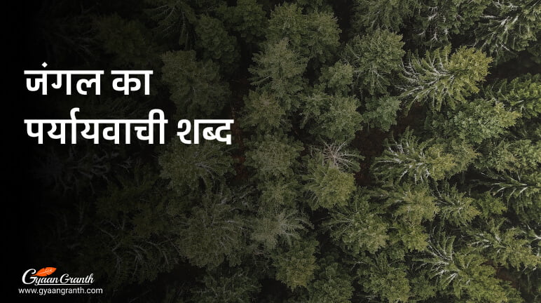 जंगल का पर्यायवाची शब्द