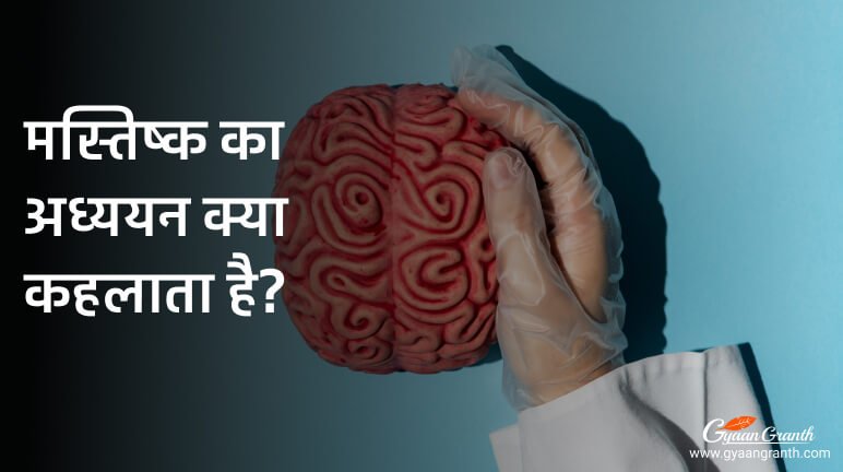 मस्तिष्क का अध्ययन क्या कहलाता है?