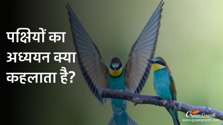 पक्षियों का अध्ययन क्या कहलाता है?