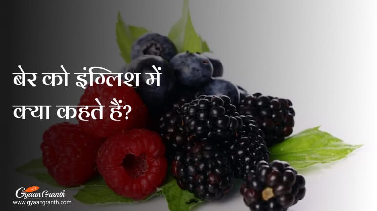 बेर को इंग्लिश में क्या कहते हैं?