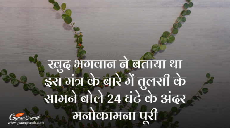 खुद भगवान ने बताया था इस मंत्र के बारे में तुलसी के सामने बोले 24 घंटे के अंदर मनोकामना पूरी