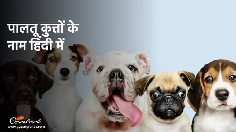 पालतू कुत्तों के नाम हिंदी में - Dogs Name In Hindi