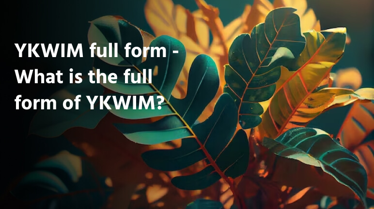 YKWIM full form - What is the full form of YKWIM?