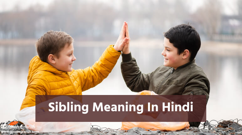 Sibling Meaning in Hindi